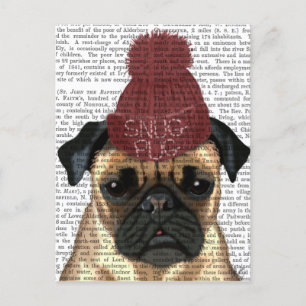 Cartão Postal Snug Pug