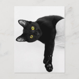 Cartão Postal Só a relaxar