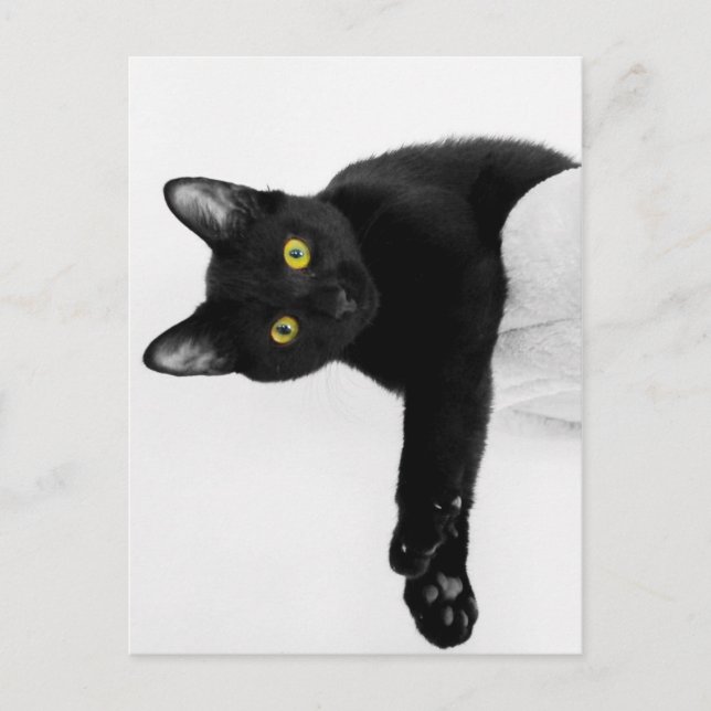 Cartão Postal Só a relaxar (Frente)