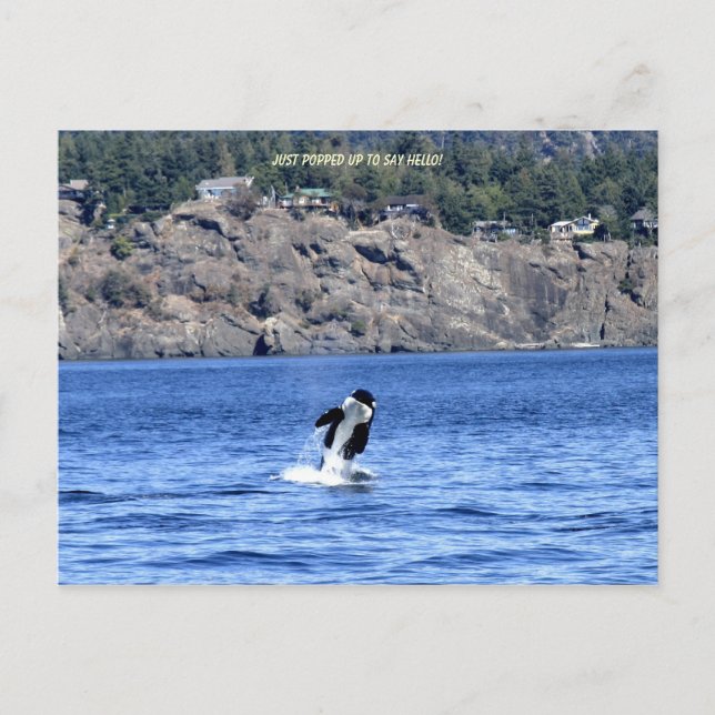 Cartão Postal Só Apanhei Para Dizer Olá! (Frente)