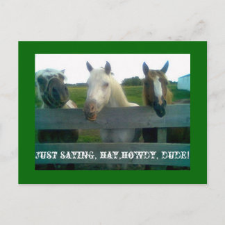 Cartão Postal Só dizendo, feno,como vai, cara!