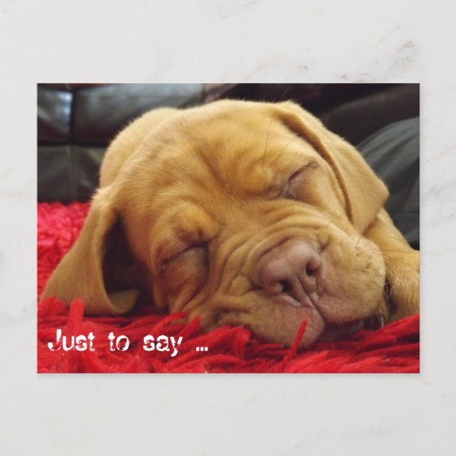 Cartão Postal Só para dizer... (Frente)