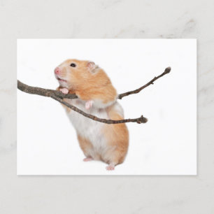 Cartão Postal só por aí