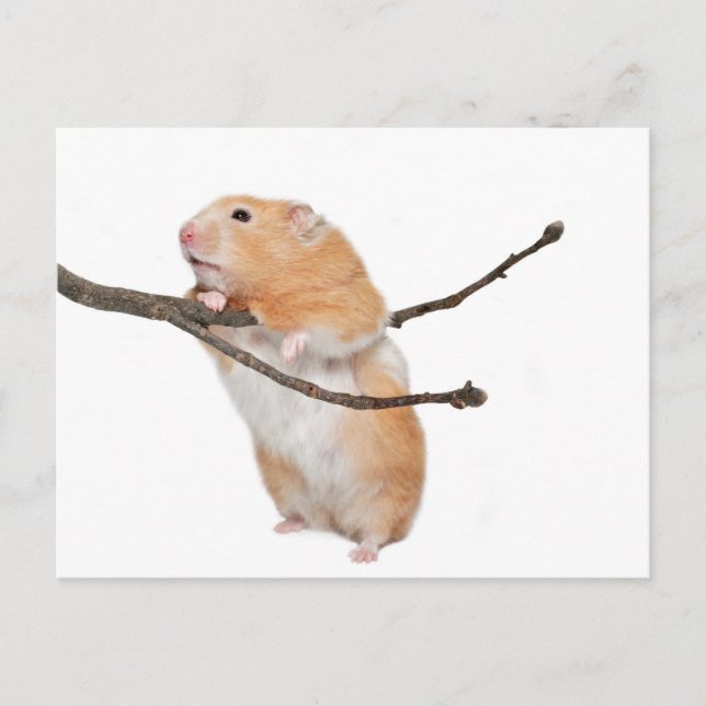 Cartão Postal só por aí (Frente)