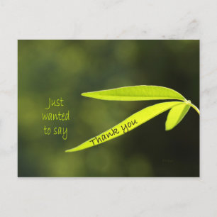 Cartão Postal Só queria dizer
