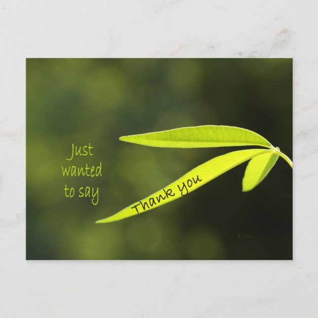 Cartão Postal Só queria dizer (Frente)