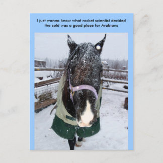 Cartão Postal Só quero saber que cientista de foguetes...