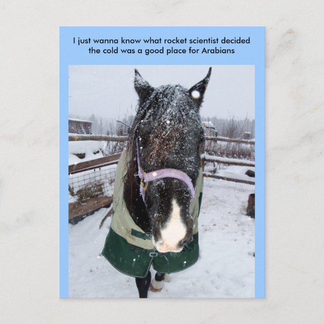 Cartão Postal Só quero saber que cientista de foguetes... (Frente)