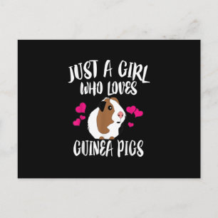 Cartão Postal Só Uma Menina Que Ama Guiné Pigs Guiné Pig Gift