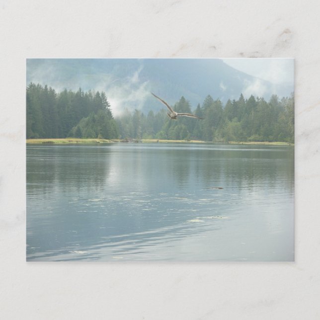 Cartão Postal Soar Livre (Frente)