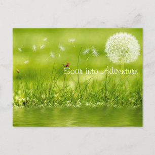 Cartão Postal Soar na aventura