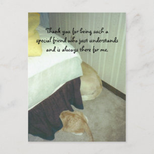 Cartão Postal Sob a Cama