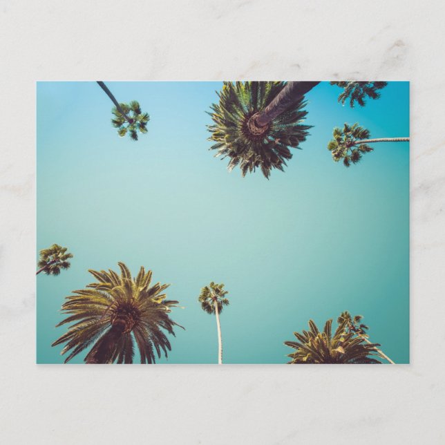 Cartão Postal Sob as palmas, viagem de foto (Frente)