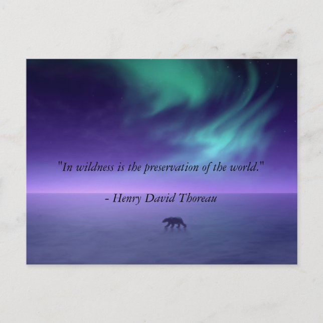 Cartão Postal Sob céus mágicos (Frente)