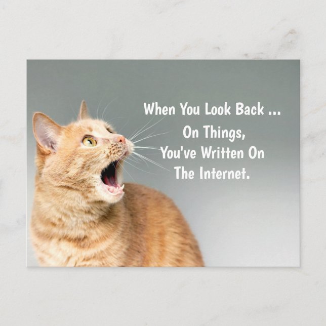 Cartão Postal Sobre Coisas Que Escreveu Na Internet Engraçado (Frente)