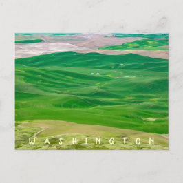 Cartão Postal Sobre o Palheiro Verde do Botão Steptoe