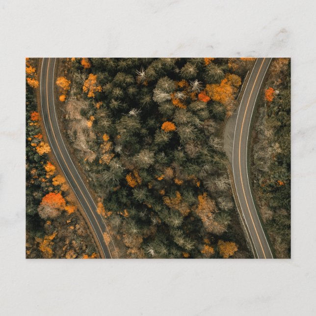 CARTÃO POSTAL SOBRE OS CAMINHOS DO OUTONO (Frente)