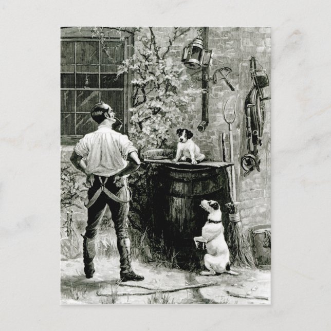 Cartão Postal Sobrevivência do Fittest (Frente)