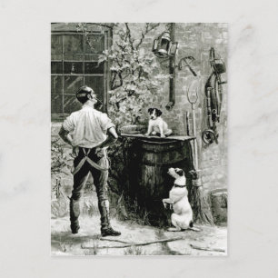 Cartão Postal Sobrevivência do Fittest