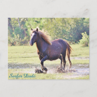 Cartão Postal Sobrevivência Duo