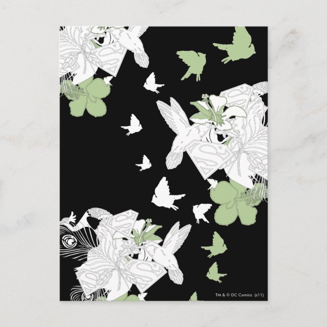 Cartão Postal Sobrinhos e Penas (Frente)