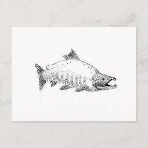 Cartão Postal Sockeye Salmon Line Art