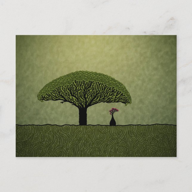 Cartão Postal Socotra (Frente)