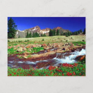 Cartão Postal Soda Creek em Deschutes Foto da Floresta Nacional