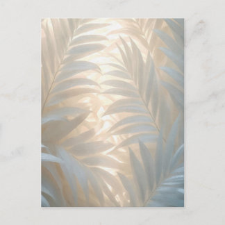 Cartão Postal Soft gold of white tropics, pastel palm leaves