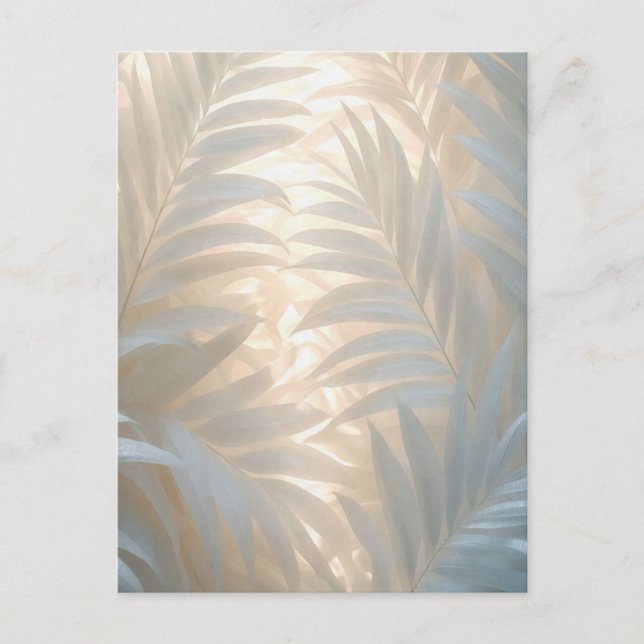 Cartão Postal Soft gold of white tropics, pastel palm leaves (Frente)