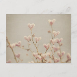 Cartão Postal Soft Heart Blossom Postcard – Romantic Botanical
