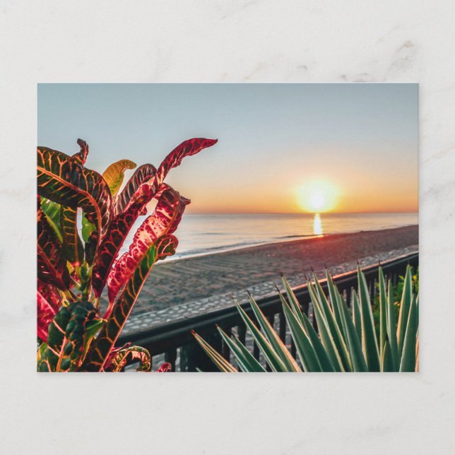 Cartão Postal Sol (Frente)