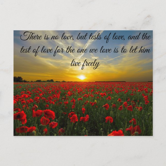 Cartão Postal sol (Frente)