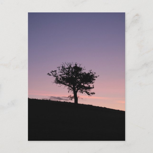 Cartão Postal Sol (Frente)