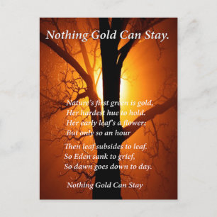 Cartão Postal Sol Atrás