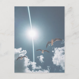 Cartão Postal Sol de Nuvens Cérebros Voadores