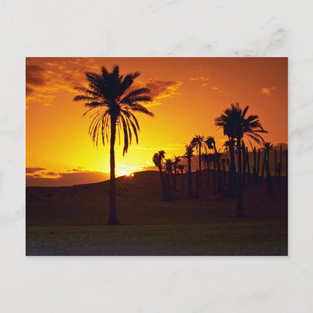 Cartão Postal Sol no deserto, Saara, Deserto da Tunísia (Frente)