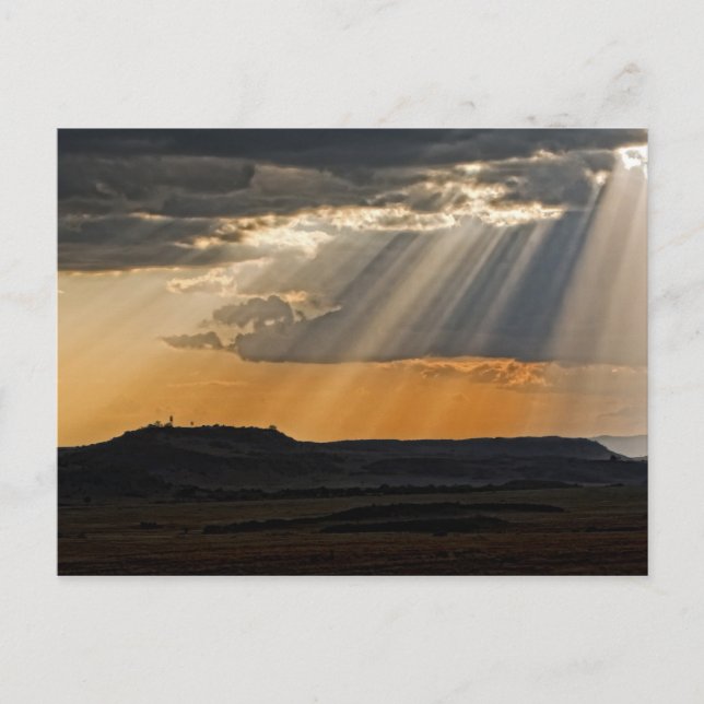 Cartão Postal Sol no Masai Mara. (Frente)