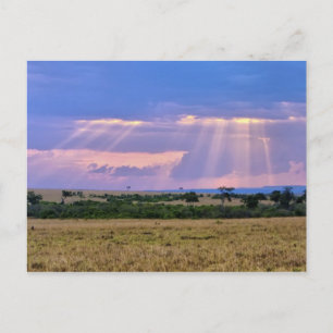 Cartão Postal Sol se pondo no Masai Mara.