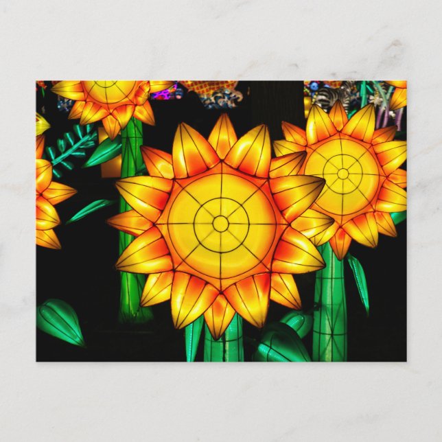 Cartão Postal Solar Flare Sunflower (Frente)