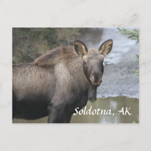 Cartão Postal , Soldotna, AK