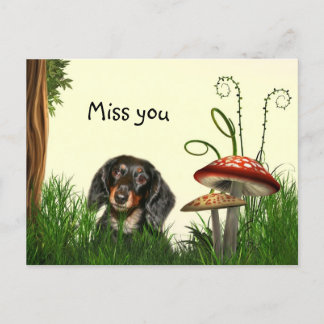 Cartão Postal Solitário Dachshund