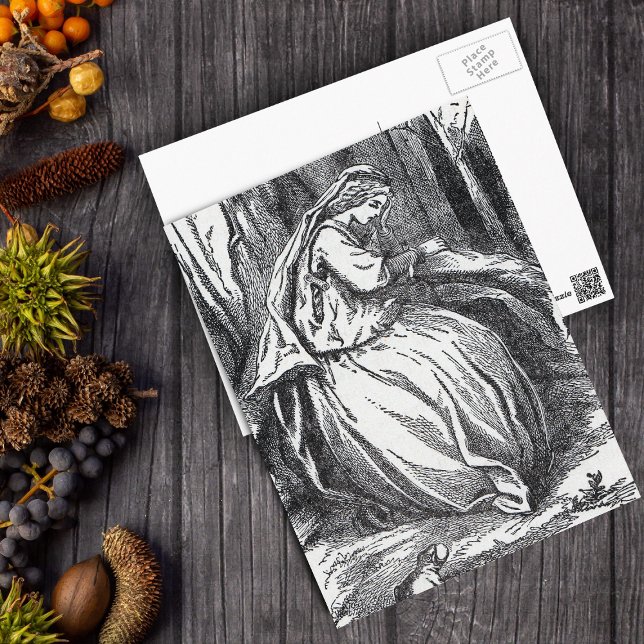 Cartão Postal Solitário Forlorn Princess Com Sapo na Floresta (Black White drawing of sad princess with frog in woods on postcard.)