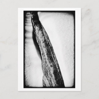 Cartão Postal solitário frio de duro longo