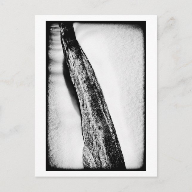Cartão Postal solitário frio de duro longo (Frente)