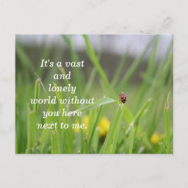 Cartão Postal [Solitário Ladybug] Perdendo Você