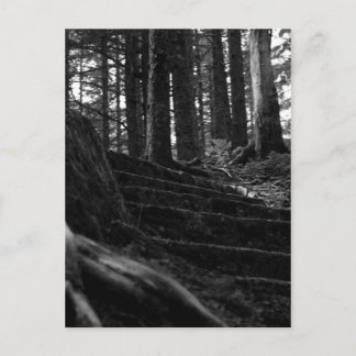 Cartão Postal Solitário Stair Way