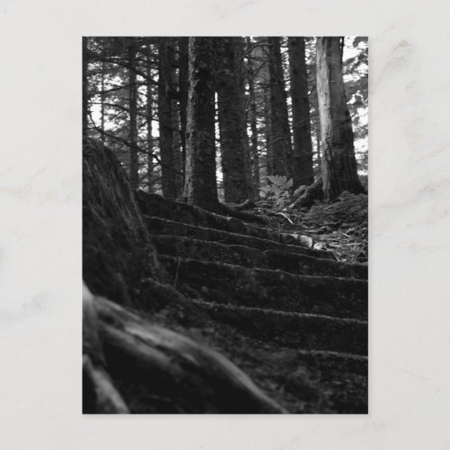 Cartão Postal Solitário Stair Way (Frente)