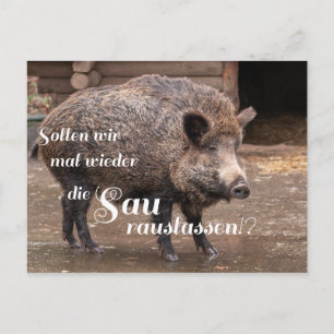Cartão Postal Sollen wir mal wieder die Sau rauslassen?!?