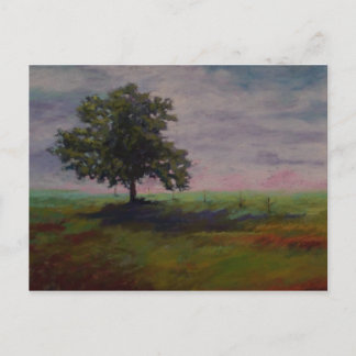 Cartão Postal solo